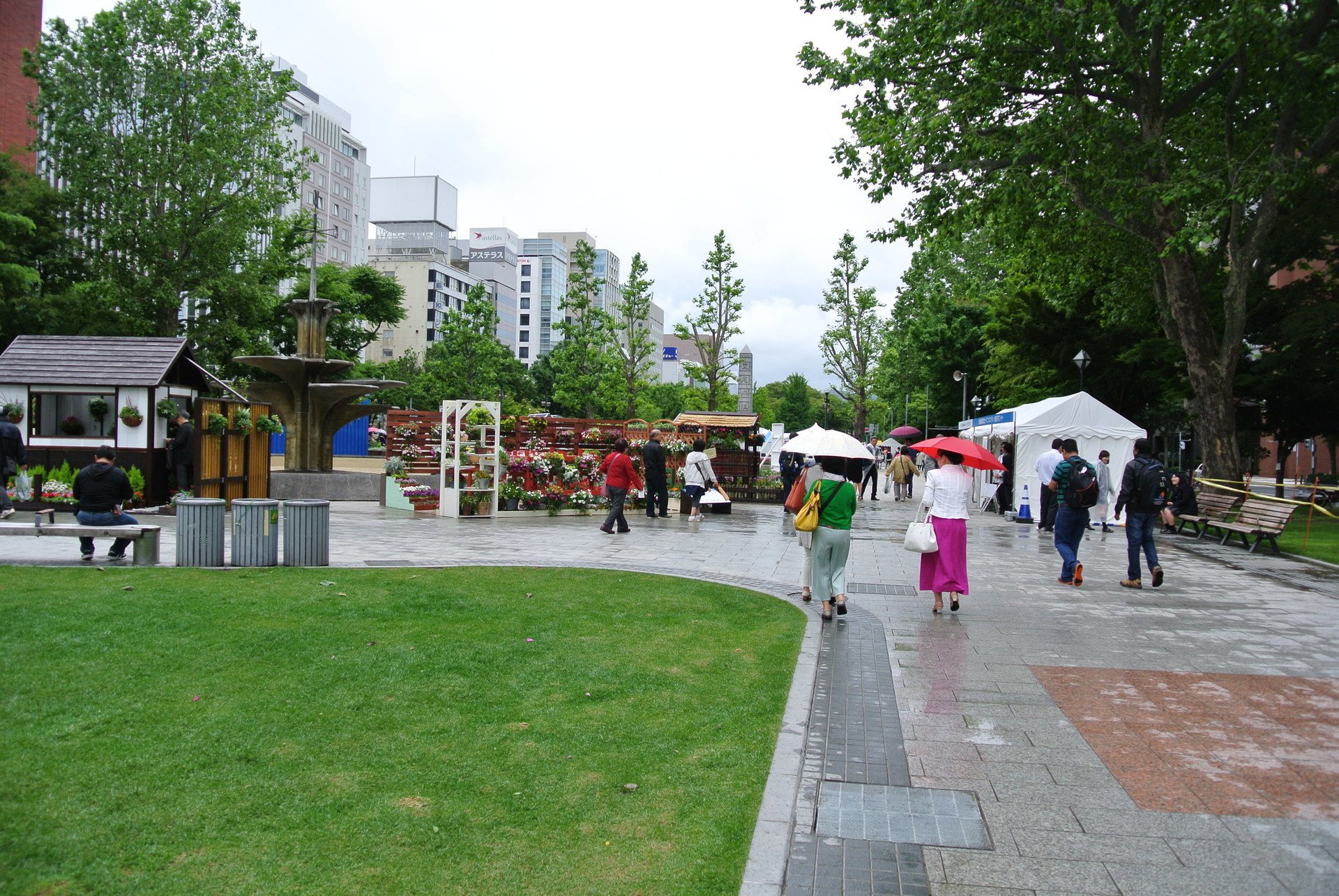 花フェスタ16札幌 が始まりました 札幌 四季散歩