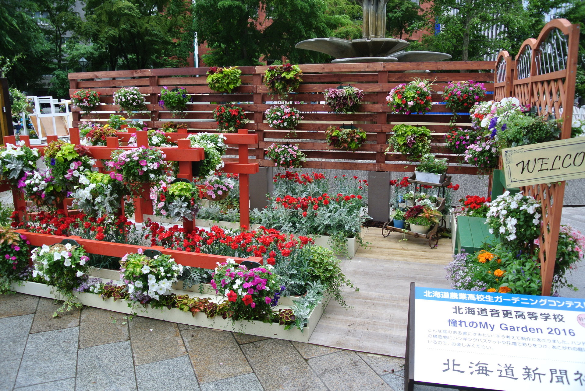 花フェスタ16札幌 が始まりました 札幌 四季散歩